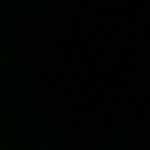 Meet your Posher, Nana